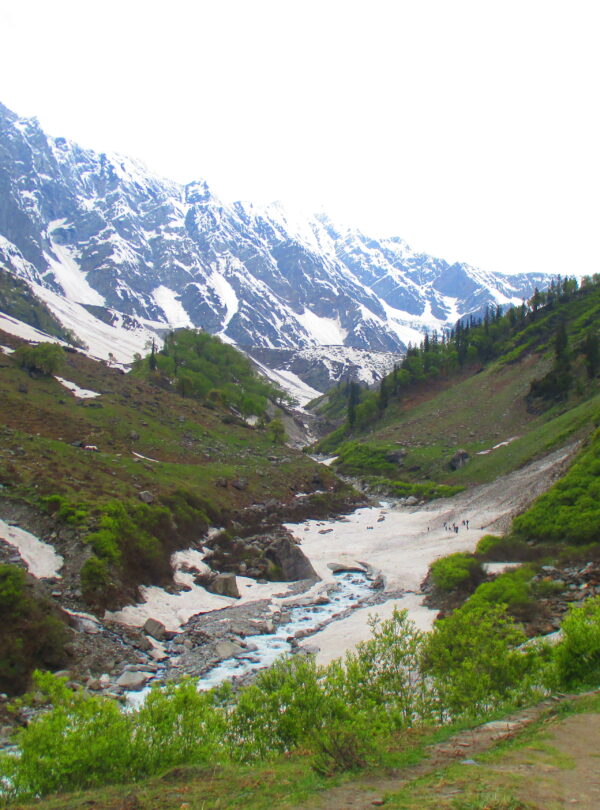 Vyas Valley