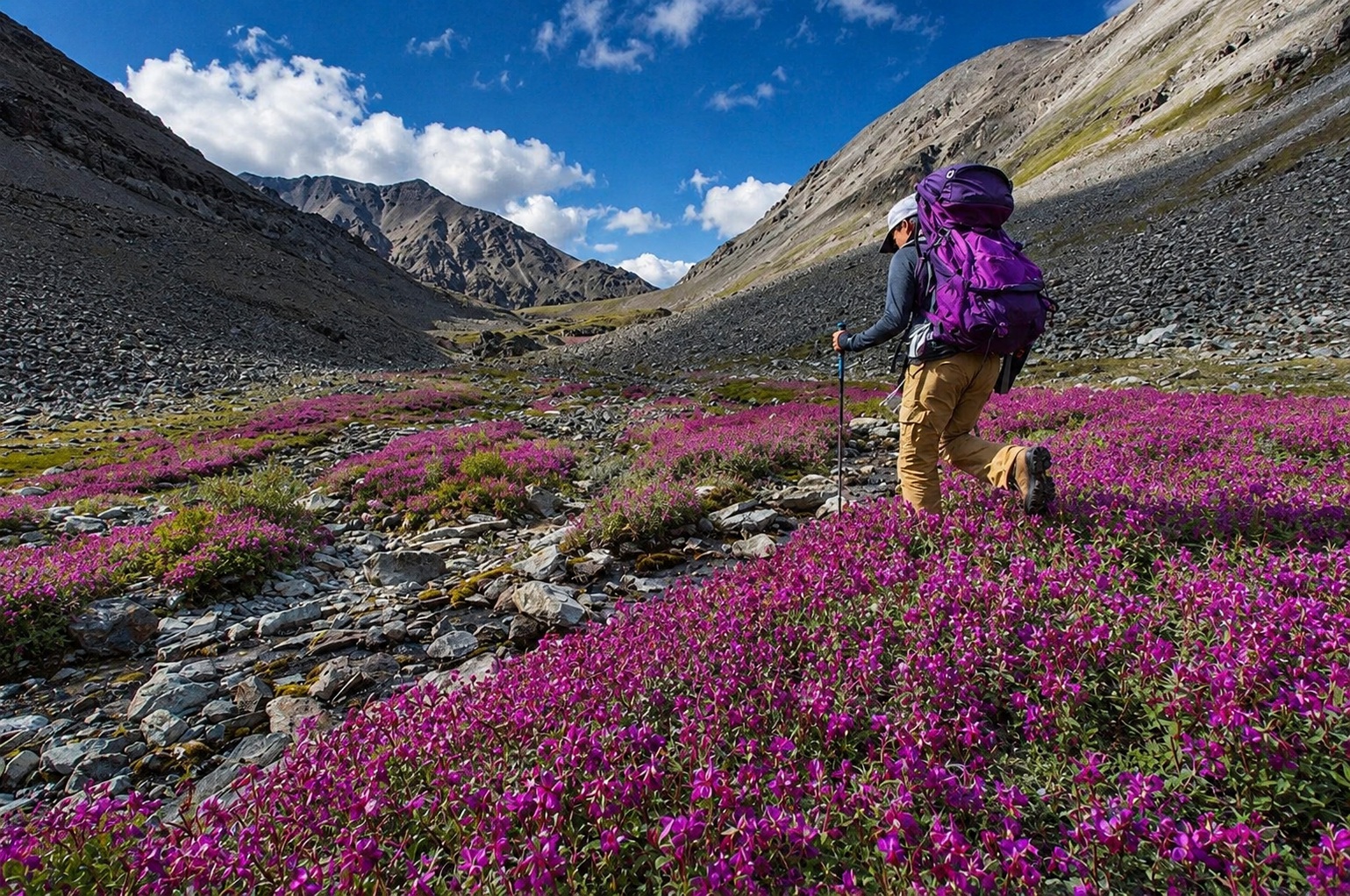 Trekking
