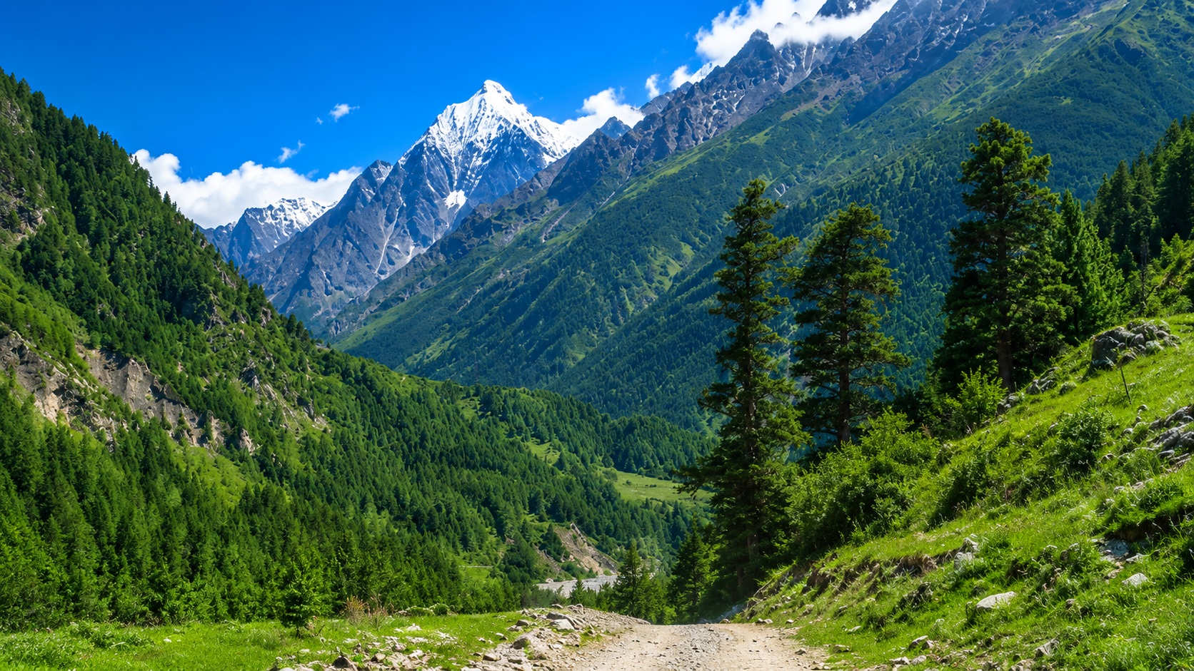 Mountain Road